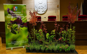 &quot;Sadzenie drzew i krzewów miododajnych, sposobem na ochronę bioróżnorodności w województwie podkarpackim&quot;