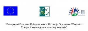 ZAGOSPODAROWANIE PRZESTRZENI PUBLICZNEJ POPRZEZ UTWORZENIE OGÓLNODOSTĘPNEJ STREFY REKREACJI W MIEJSCOWOŚCI PAWŁOSIÓW